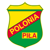 Partnerzy Polonia Piła